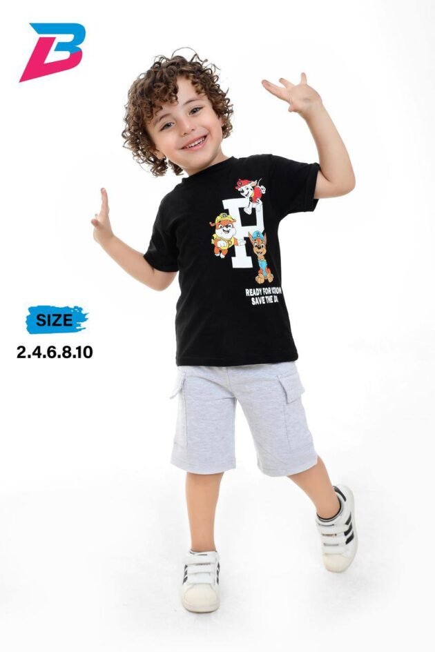 pawpatrol set
